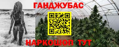 гашик Будённовск