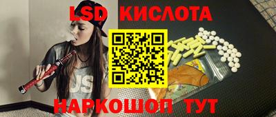 гашик Будённовск