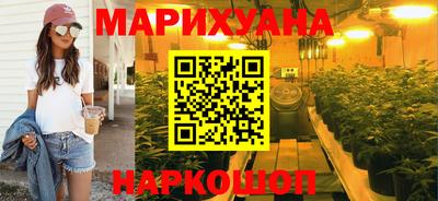 гашик Будённовск