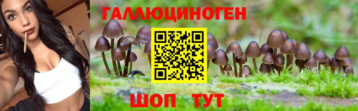 Галлюциногенные грибы GOLDEN TEACHER  Вход с VPN  Кушва  Псилоцибиновые грибы Psilocybe 